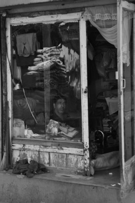 kashmir