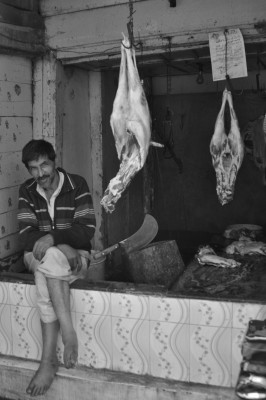 kashmir