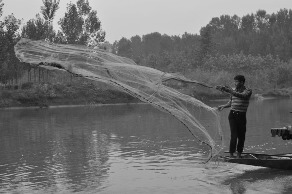 kashmir