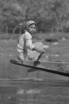 kashmir