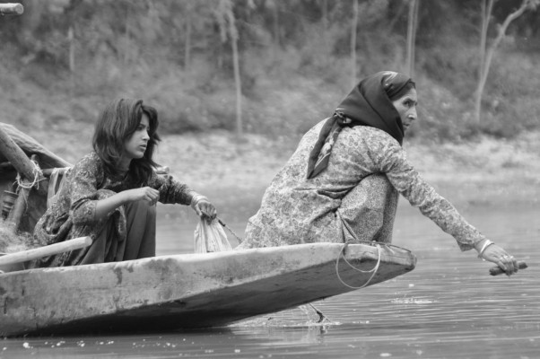 kashmir