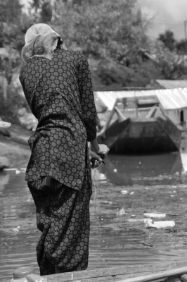 kashmir