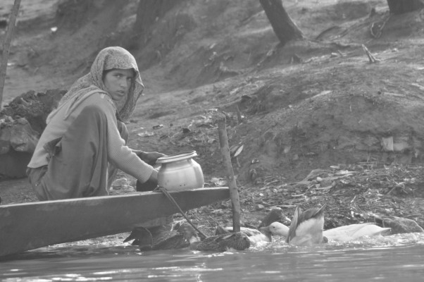 kashmir