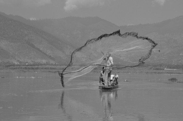 kashmir