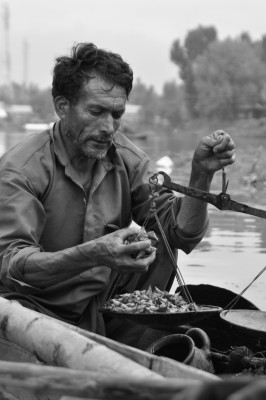 kashmir