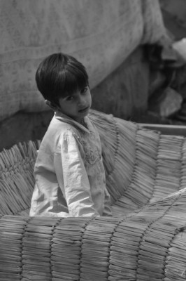 kashmir