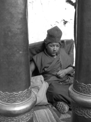 ladakh