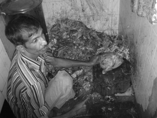 india